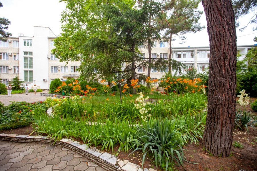 Парк санатория «Русь» в Анапе: клумбы и сосны на территории 2,7 гектара — фото 3